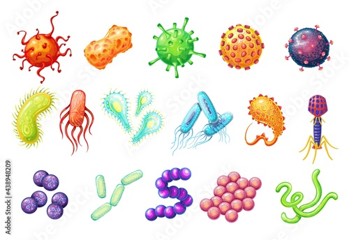 Bacteria and virus vector icons. Disease-causing bacterias, viruses and microbes. Germs, coronavirus, prokaryotes, bacteriophage, pathogen hepatovirus and different types of virus color illustration