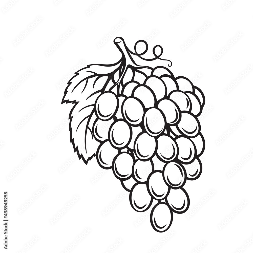 Coloring Book Page Grapes Sketch And Color Version Stock Illustration -  Download Image Now - iStock
