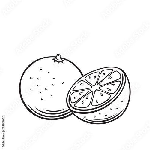 Orange fruit outline vector icon, drawing monochrome illustration. Healthy nutrition, organic food, vegetarian product.