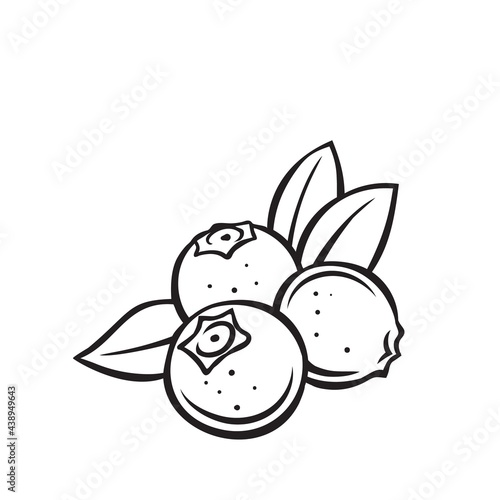 Blueberry fruit berry outline vector icon, drawing monochrome illustration. Healthy nutrition, organic food, vegetarian product.