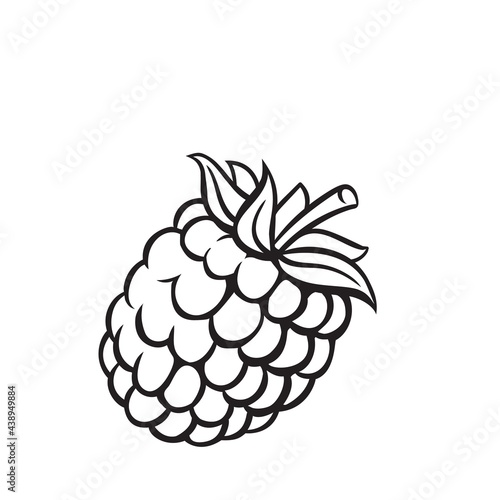 Raspberry fruit berry outline vector icon, drawing monochrome illustration. Healthy nutrition, organic food, vegetarian product.