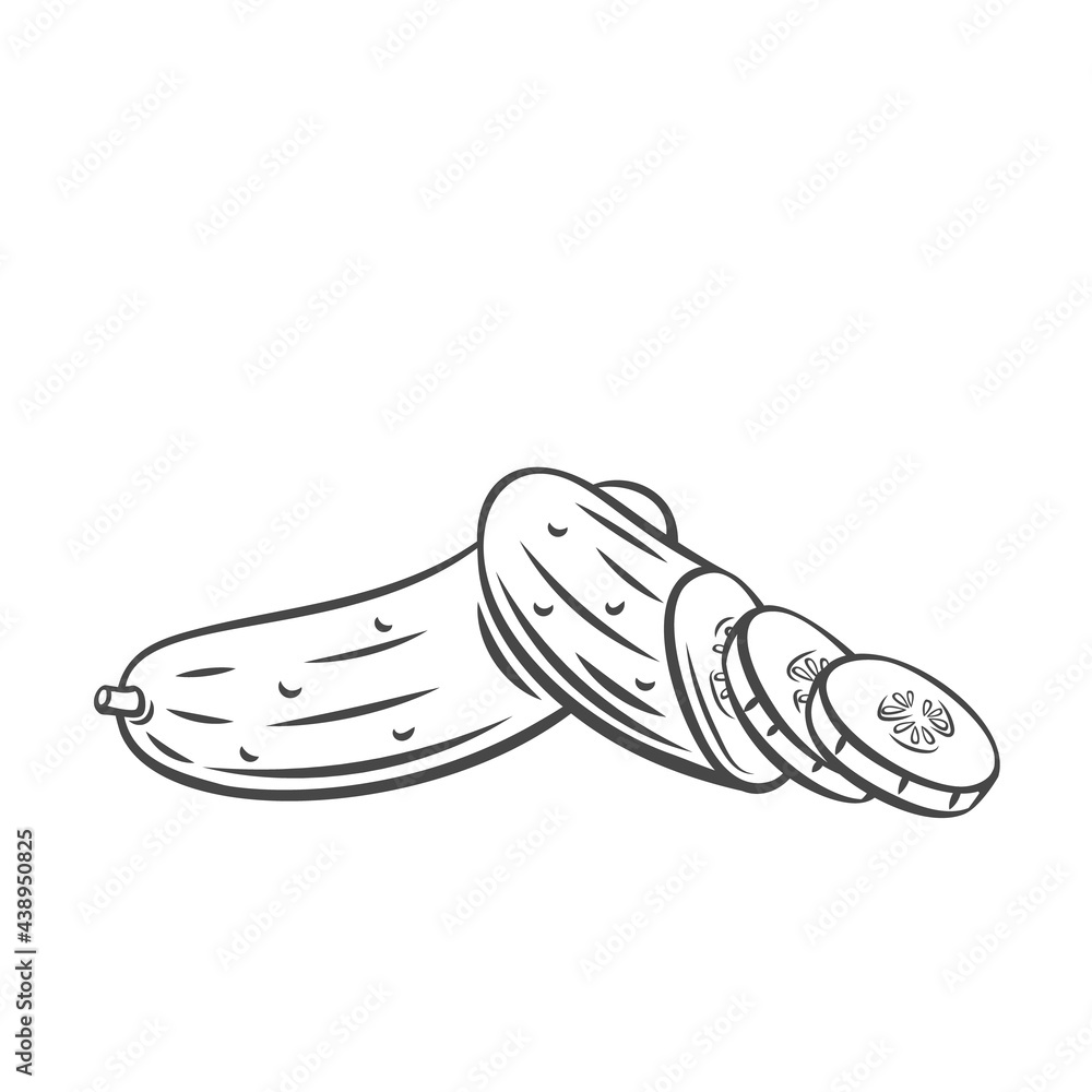 Vector cucumber. Farm vegetable outline icon, drawing monochrome illustration. Healthy nutrition, organic food, vegetarian product. Vector cucumber. Farm vegetable outline icon, drawing monochrome illustration. Healthy nutrition, organic food, vegetarian product.