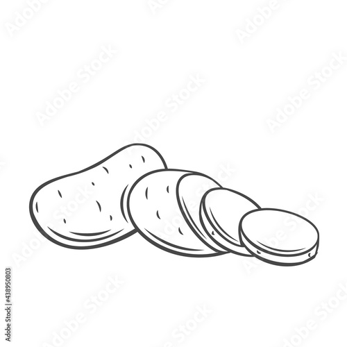 Vector potato. Farm vegetable outline icon, drawing monochrome illustration. Healthy nutrition, organic food, vegetarian product.