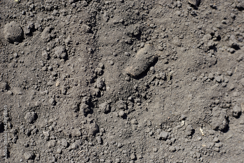 Land photo close-up for texture, background black fertile land Land photo close-up for texture, background black fertile land