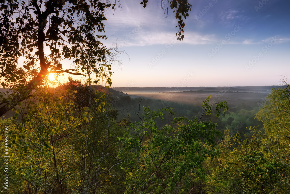 Foggy sunrise on the hills of the Fontainebleau forest. Trois Pignons area Foggy sunrise on the hills of the Fontainebleau forest. Trois Pignons area