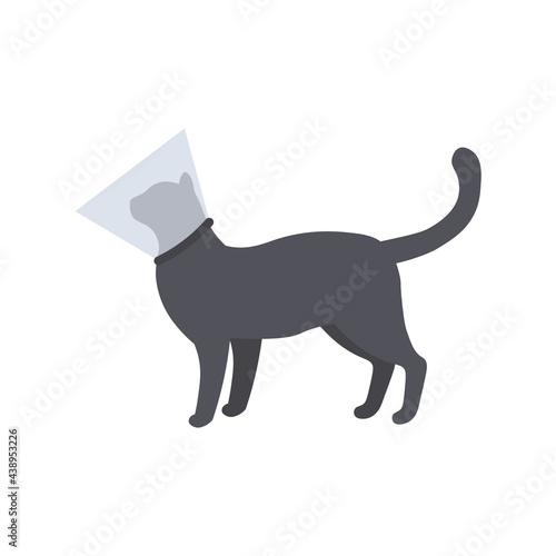 Cat with a cone or a protective collar, a vector