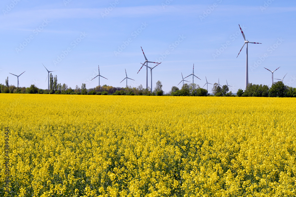 Austria, Agriculture and Alternative Energy Austria, Agriculture and Alternative Energy