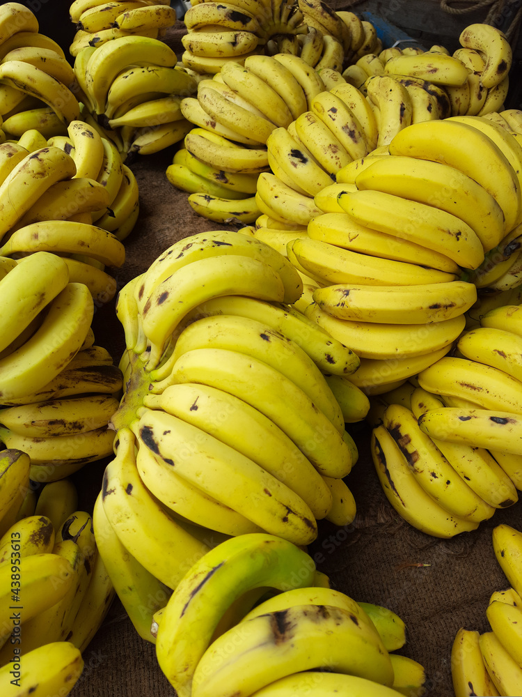 Raw Organic Bunch of Bananas.