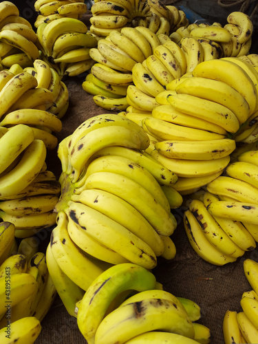 Raw Organic Bunch of Bananas.