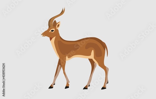 Antilope flar style vector illustration