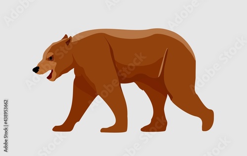 Walking brown bear. flat style vector illustration isolated on white background