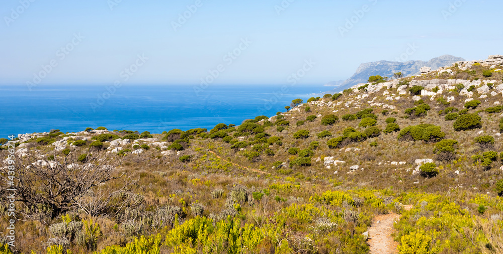 Dirt Track hiking paths on top of a mountain by the coast
