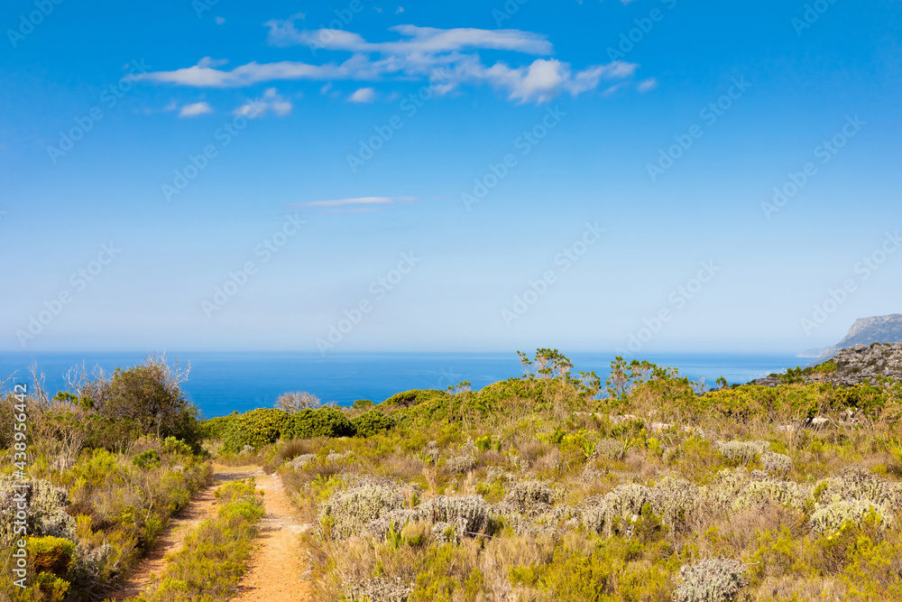Dirt Track hiking paths on top of a mountain by the coast