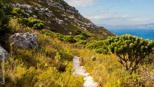 Dirt Track hiking paths on top of a mountain by the coast