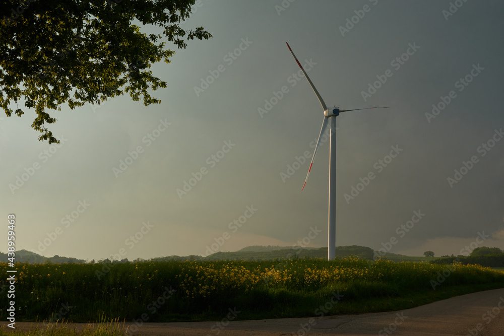 Single wind turbine on a canola field. Road and part of a tree in foreground. Rear view. Single wind turbine on a canola field. Road and part of a tree in foreground. Rear view.