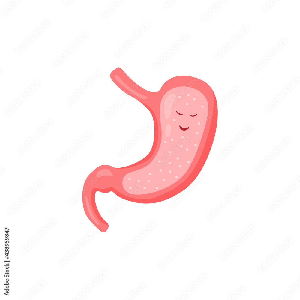 stomach healthy stomach sick set dd ww stomach healthy stomach sick set dd ww