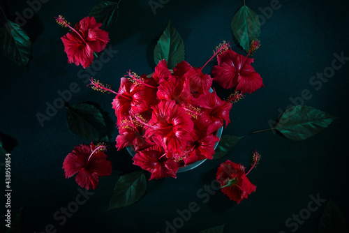 Red Hibiscus Flower and leaf, Red Hibiscus flower in steel pot, Chembarathi flower, top view photography, Red Hibiscus Flower and leaf in dark background, Light and shade photography