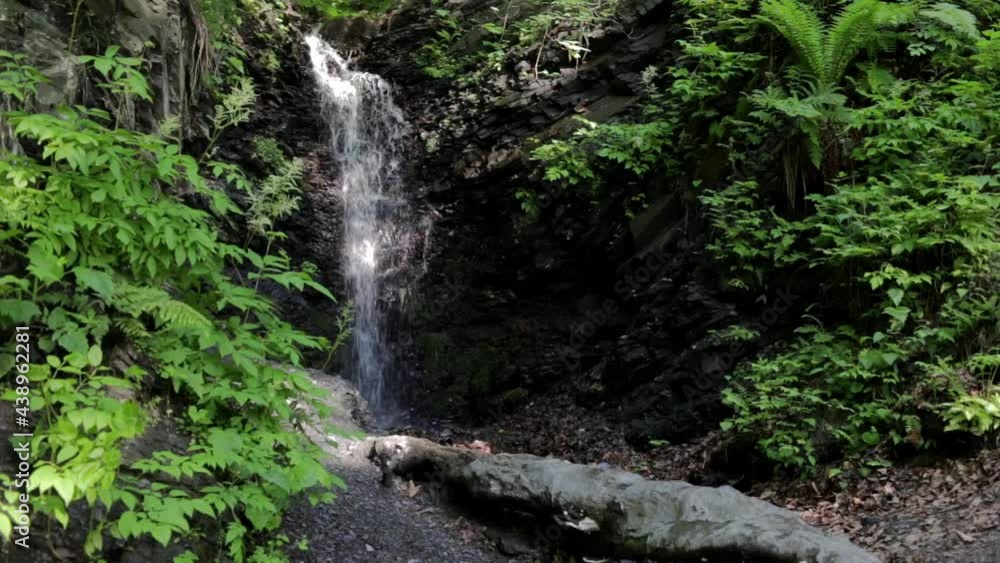 Forest Falls. Cold stream in the ravine. The living sound of nature. Forest Falls. Cold stream in the ravine. The living sound of nature.