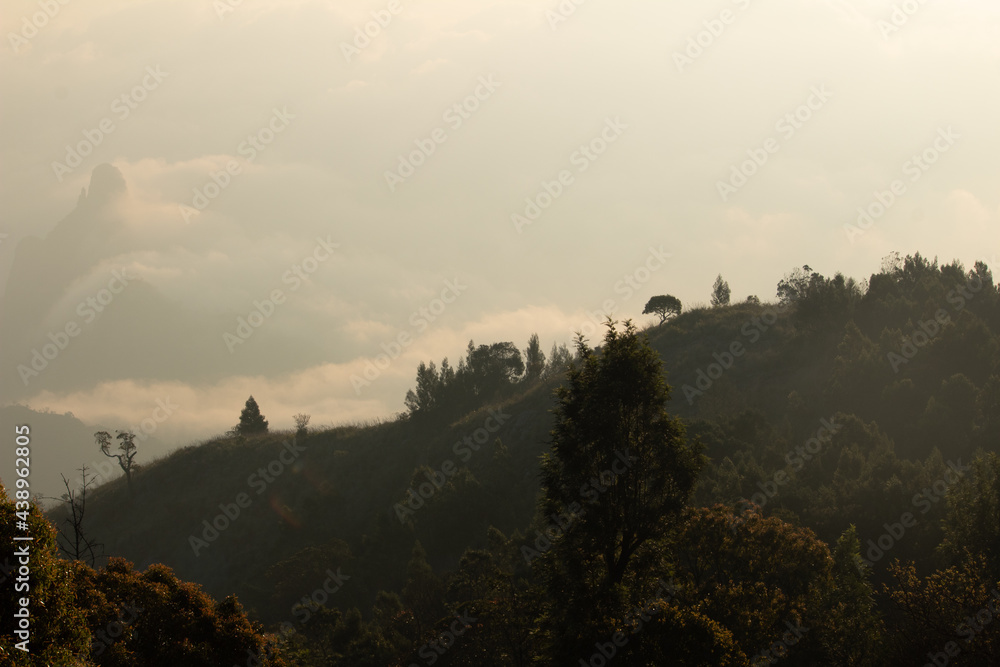 View of rangaswamy peek in kodanadu in the early morning. clouds passing or touching top of the peek or mountain in kodanadu