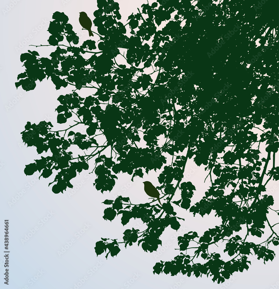 Vector iimage of silhouettes birds on tree branches on summer day