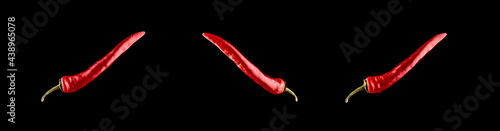 Red jalapeno set. Spicy chile cayenne pepper isolated. Red hot chili paprika collection on black background. Fresh spice vegetable concept.