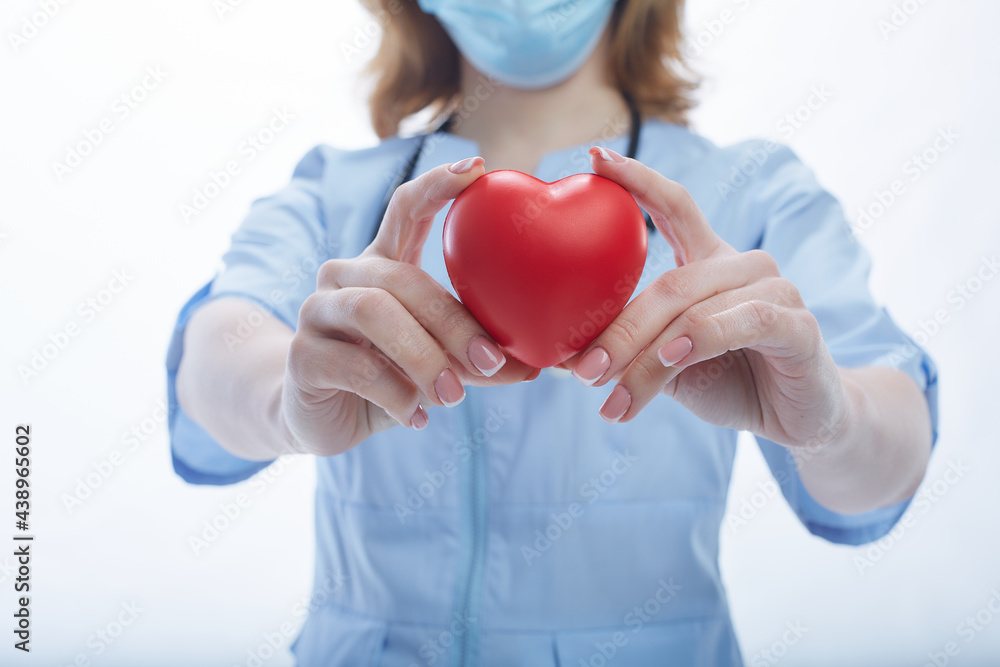 Close up of female doctor hands holding the heart. Red heart showing by woman doctor wearing blue medical face mask and lab coat with a stethoscope. Cardiology, healthcare, and medicine concept. Close up of female doctor hands holding the heart. Red heart showing by woman doctor wearing blue medical face mask and lab coat with a stethoscope. Cardiology, healthcare, and medicine concept.