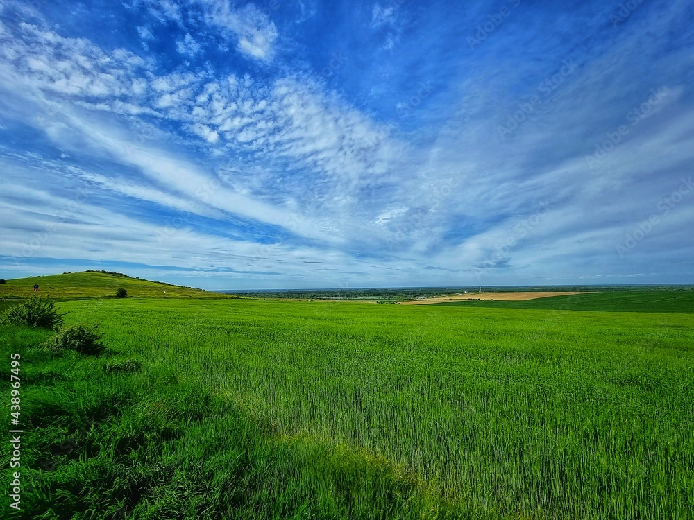Obraz premium green field and blue sky