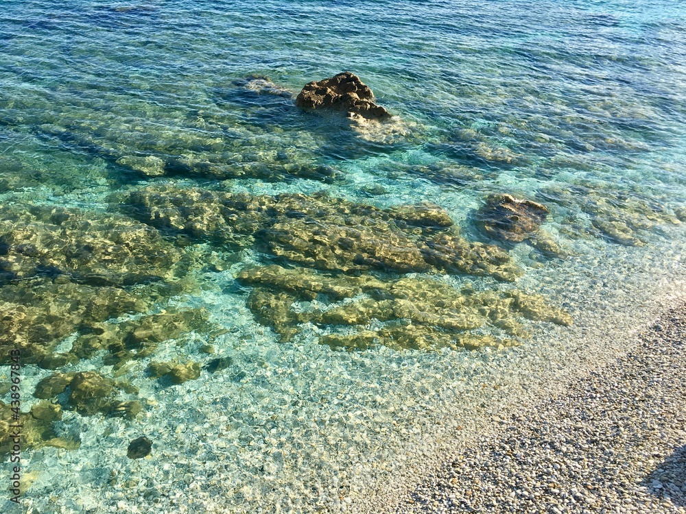Obraz premium coral reef in the sea