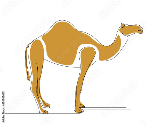 camel drawing by one continuous line, vector, isolated