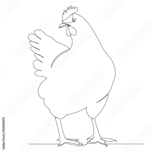 chicken drawing by one continuous line, vector, isolated