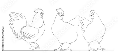 hen and rooster one continuous line drawing, vector, isolated