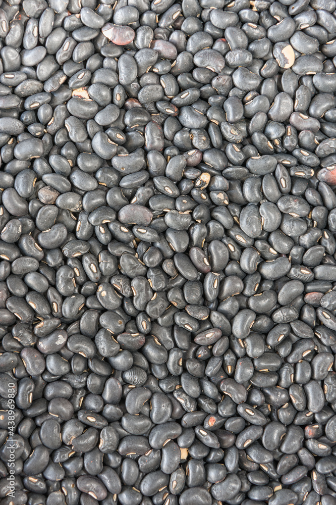 Background images from black bean with a very interesting profile . Background images from black bean with a very interesting profile .