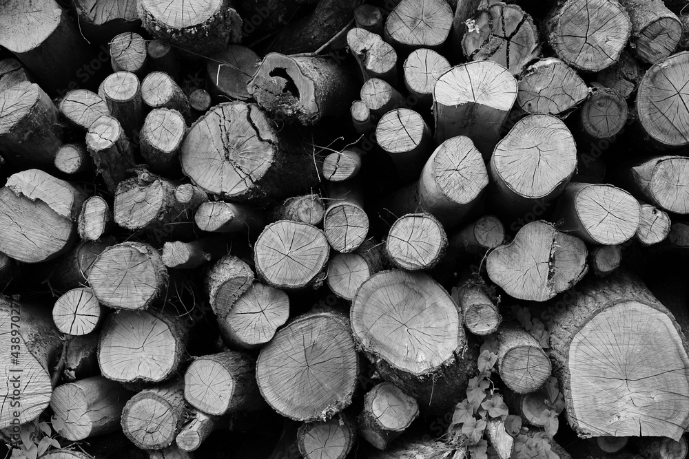 Stack of firewood Stack of firewood