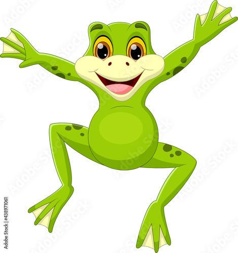 cute frog jumping cartoon  isolated on white background