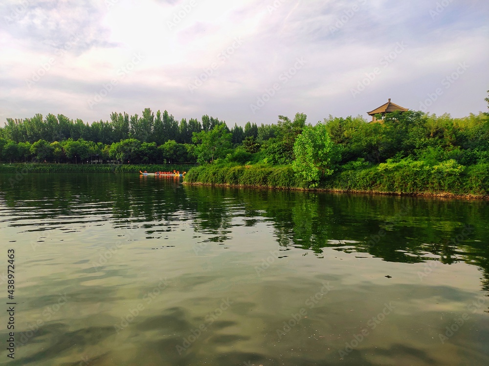 Fototapeta premium the sky and the trees, a view of Hancheng lake,XIAN