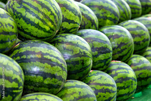 Fresh watermelon on the market shelves.