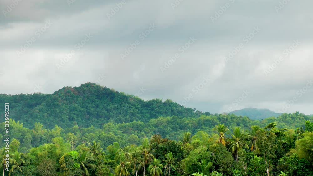 Jungle covered mountain side in the Philippines Jungle covered mountain side in the Philippines