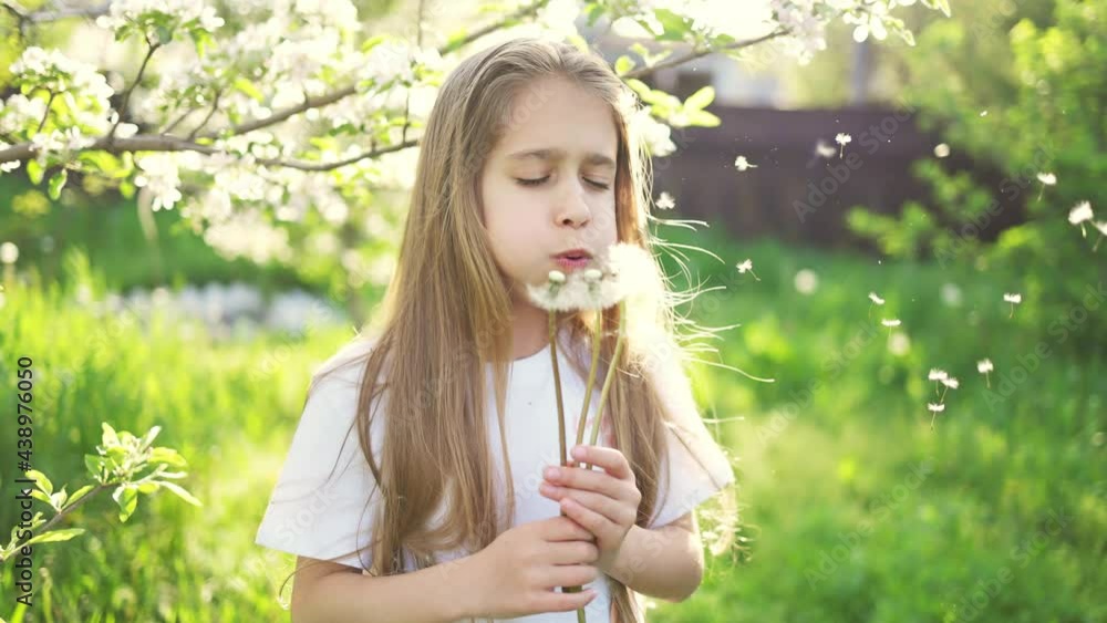 A girl looks at the camera with concentration and holds a white dandelion on a background of green grass in garden A girl looks at the camera with concentration and holds a white dandelion on a background of green grass in garden