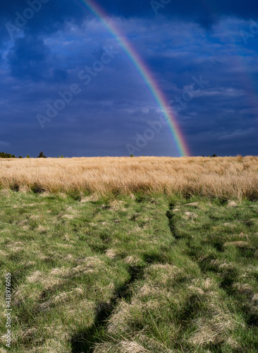 Scottish Rainbows 03