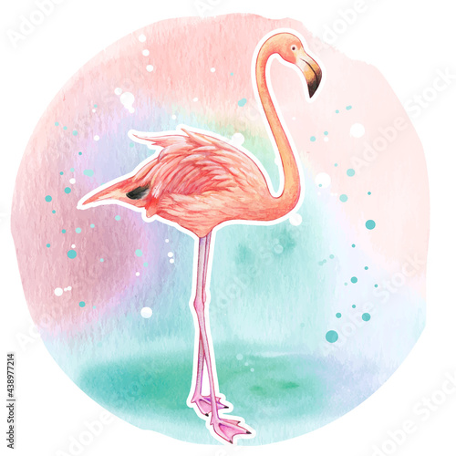 Watercolor beautiful realistic pink flamingo