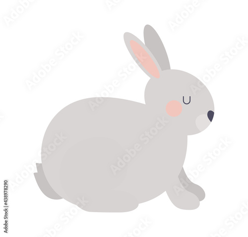 cute gray rabbit