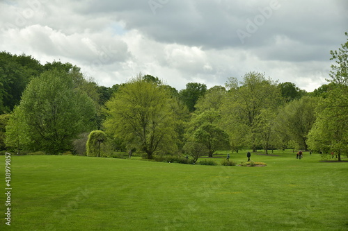 La grande pelouse sous un ciel changeant à l'arboretum de Wespelaar 