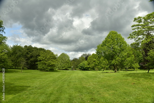 Ciel mena  ant au dessus de la v  g  tation luxuriante de l arboretum de Wespelaar en Brabant Flamand 
