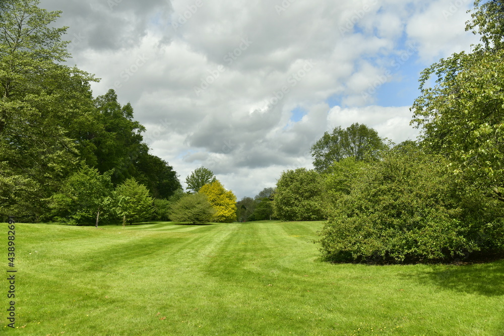 Naklejka premium La pelouse principale sous un ciel changeant à l'arboretum de Wespelaar en Brabant Flamand