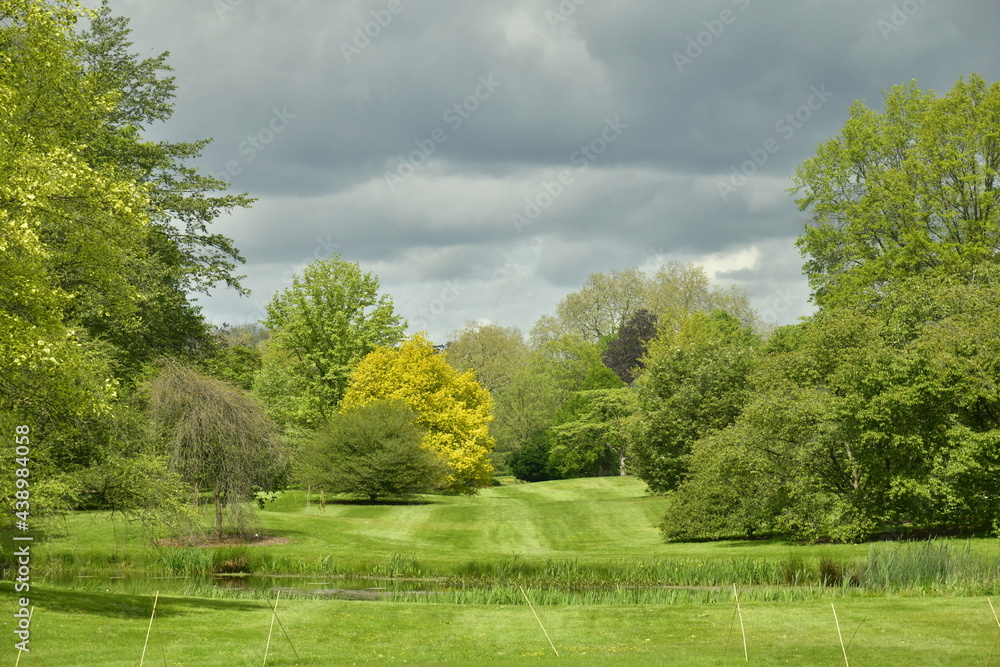 La pelouse principale sous un ciel changeant à l'arboretum de Wespelaar en Brabant Flamand La pelouse principale sous un ciel changeant à l'arboretum de Wespelaar en Brabant Flamand