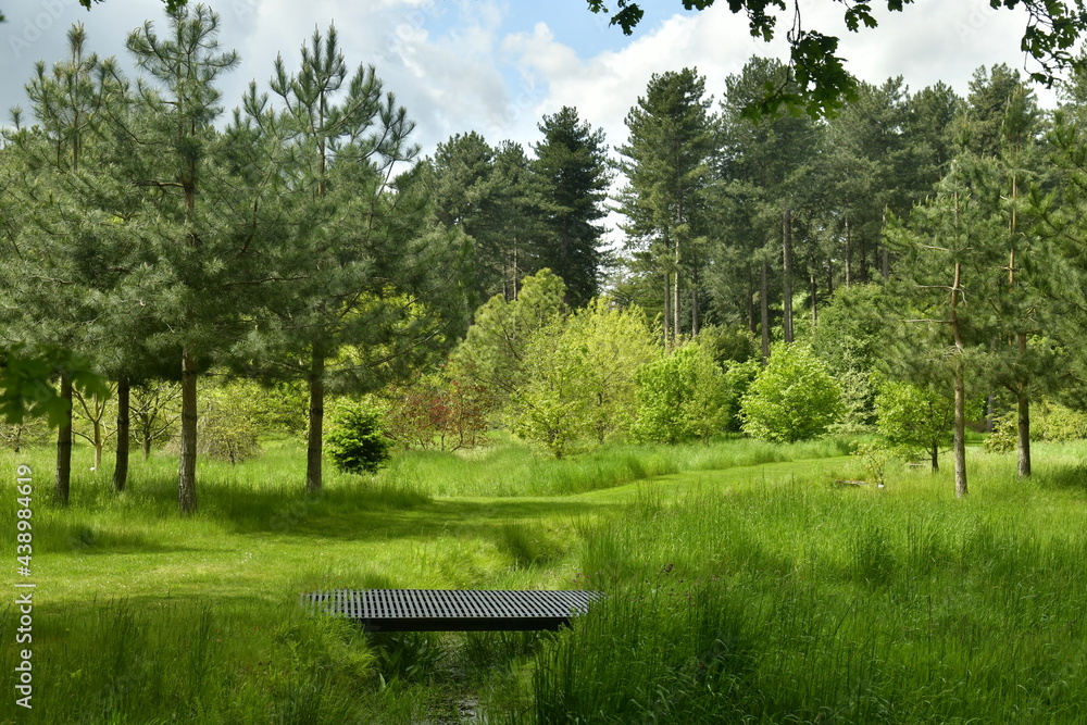 Petit ruisseau avec passage sur planches sous l'ombre des arbres devant la végétation luxuriante de l'arboretum de Wespelaar en Brabant Flamand Petit ruisseau avec passage sur planches sous l'ombre des arbres devant la végétation luxuriante de l'arboretum de Wespelaar en Brabant Flamand