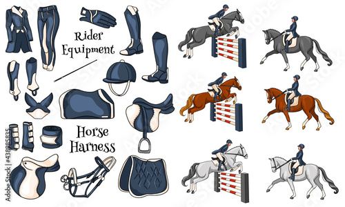 Big set of equipment for the rider and ammunition for the horse rider on horse illustration in cartoon style
