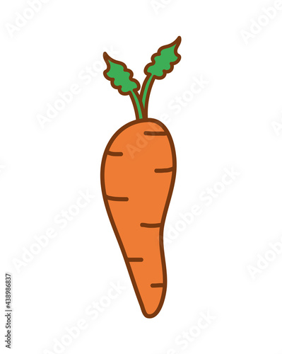 fresh carrot design