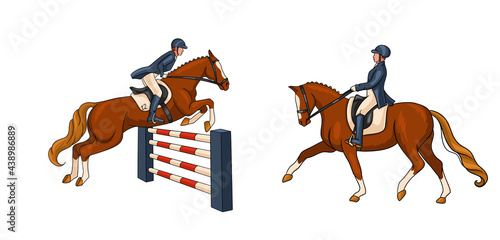 Horse Riding Woman Riding Dressage Horse in Cartoon Style