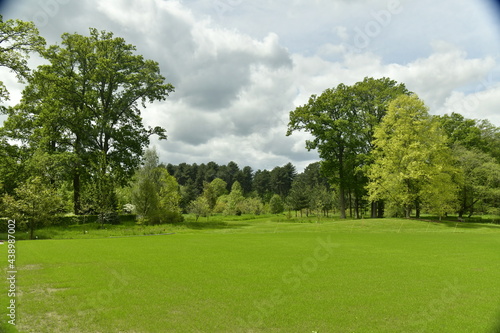 Fototapeta Naklejka Na Ścianę i Meble -  Nuages gris et parfois sombres contrastant avec la beauté verte des feuillage des arbres et pelouses de l'arboretum de Wespelaar en Brabant Flamand 